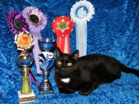 /album/kocour-domaci-bertik/dscf0117-jpg/