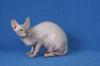 /album/nastasia-pyrel-cz/img-4700-jpg/