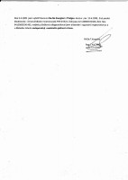 /album/pre-no-no-energizer-z-thalgau/img-0007-jpg1/